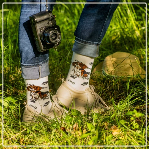 Skarpetki Beagle Rozm. 35/40 Skarpety