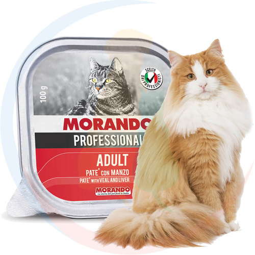 Morando Pro Mokra Karma dla Kota Pasztet Wołowina 100g
