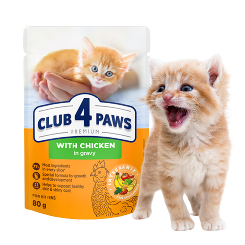 CLUB 4 PAWS Karma Mokra dla Kociąt KURCZAK W SOSIE 80g