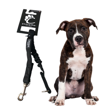 CHABA Amortyzator do Smyczy dla Psa 27cm