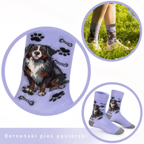 Skarpetki Berneński Pies Pasterski Rozm. 35/40 Skarpety