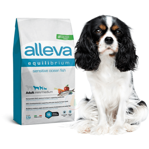 Alleva Equilibrium Adult Mini/Medium Sensitive Ocean Fish 2kg
