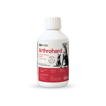 LAB-V Arthrohard Prepatat Wspierający Stawy 250 ml