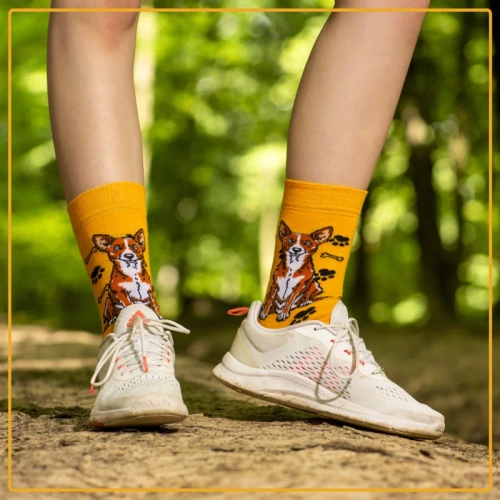 Skarpetki Basenji Rozm. 35/40 Skarpety