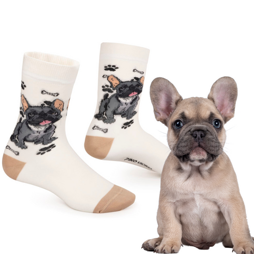 Skarpetki Buldog Francuski Rozm. 35/40 Skarpety