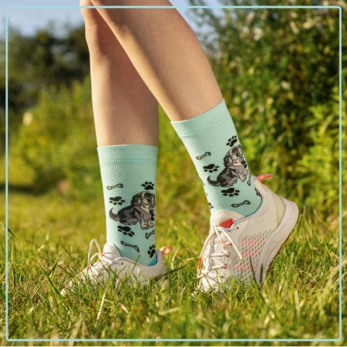 Skarpetki Cavalier King Charles Spaniel Rozm. 35/40 Skarpety