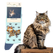 Skarpety Kot Maine Coon Rozm. 41-46 