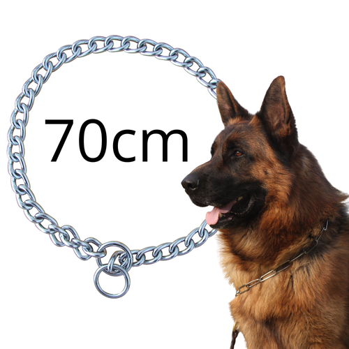 Zolux Obroża Metalowa Zaciskowa Dławik Łańcuch 70cm