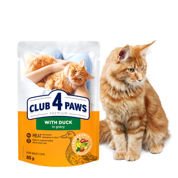 CLUB 4 PAWS Karma Mokra dla Kota KACZKA W SOSIE 85g