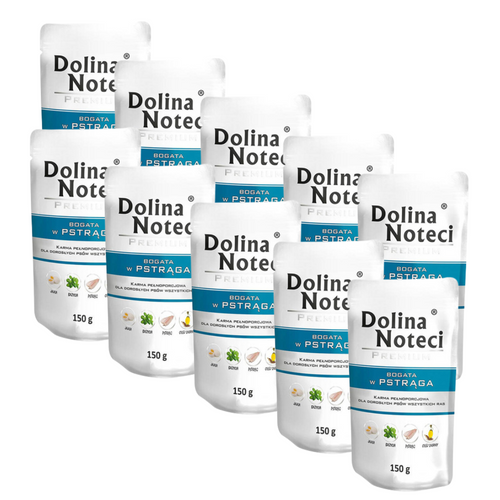 Dolina Noteci Premium dla Psa Pstrąg 10 x 150g
