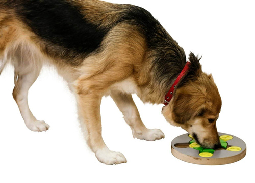 Kerbl Zabawka Edukacyjna Switch dla Psa