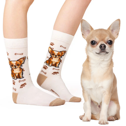 Skarpetki Chihuahua Rozm. 35/40 Skarpety