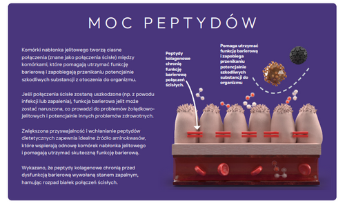 Prize Pet Food Veterinary Diet Gastro Intestinal Peptide+ Indyk Turkey1,5kg