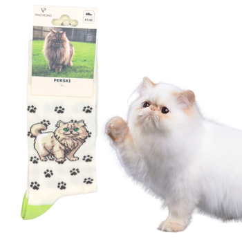 Skarpety Kot Perski Rozm. 41-46