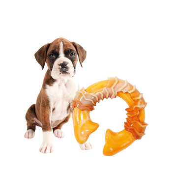 M-Pets Pierścień dla Psa, Gryzak - aromat bekonu