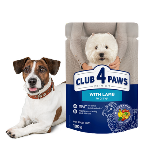 CLUB 4 PAWS Karma Mokra dla Psa Jagnięcina w sosie 100g