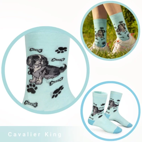 Skarpetki Cavalier King Charles Spaniel Rozm. 35/40 Skarpety