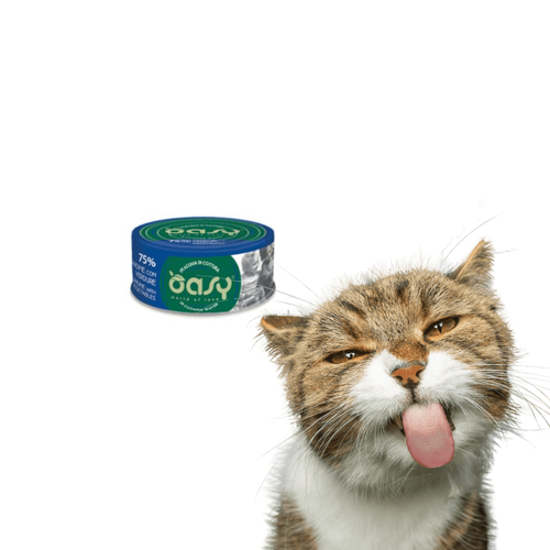 Oasy More Love Sardynki z Warzywami 70g