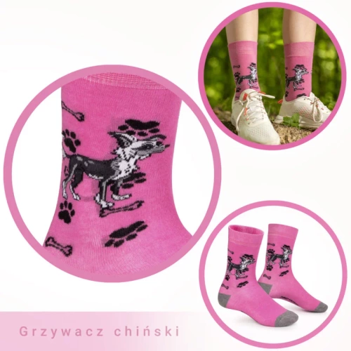 Skarpetki Grzywacz Chiński Rozm. 35/40 Skarpety