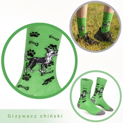 Skarpetki Grzywacz Chiński Rozm. 41/46 Skarpety