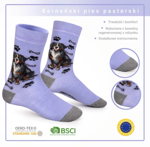 Skarpetki Berneński Pies Pasterski Rozm. 35/40 Skarpety
