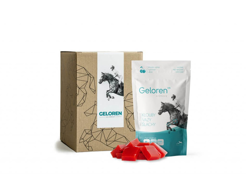 Geloren HA Horse Suplement na Stawy dla Koni 450g Wiśniowy