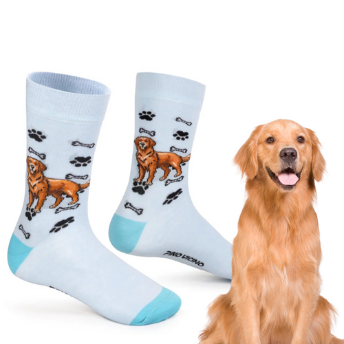 Skarpetki Golden Retriever Rozm. 41/46 Skarpety
