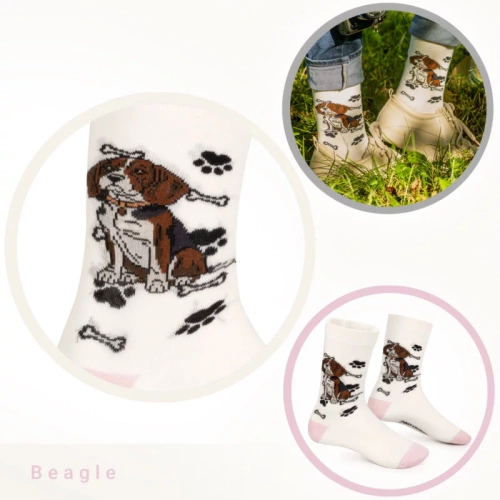 Skarpetki Beagle Rozm. 35/40 Skarpety