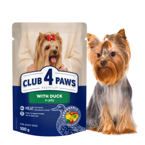 CLUB 4 PAWS Karma Mokra dla Psa Kaczka w Galaretce 100g
