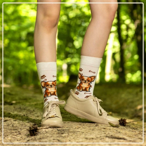 Skarpetki Chihuahua Rozm. 41/46 Skarpety