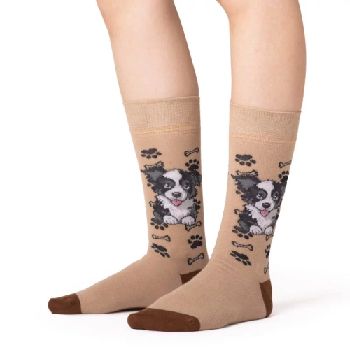 Skarpetki Border Collie Rozm. 41/46 Skarpety