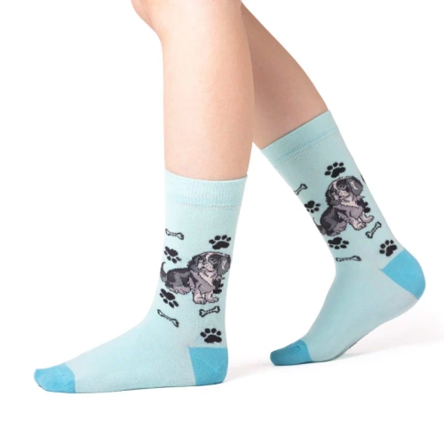 Skarpetki Cavalier King Charles Spaniel Rozm. 35/40 Skarpety