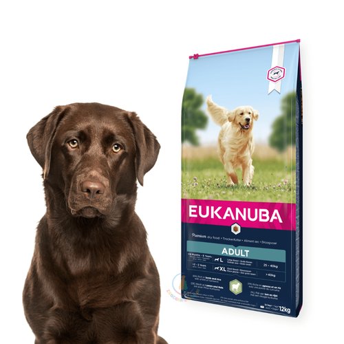 Eukanuba Adult Large Breed Jagnięcina z Ryżem 12kg
