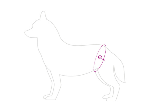 Amiplay Majtki na Cieczkę M