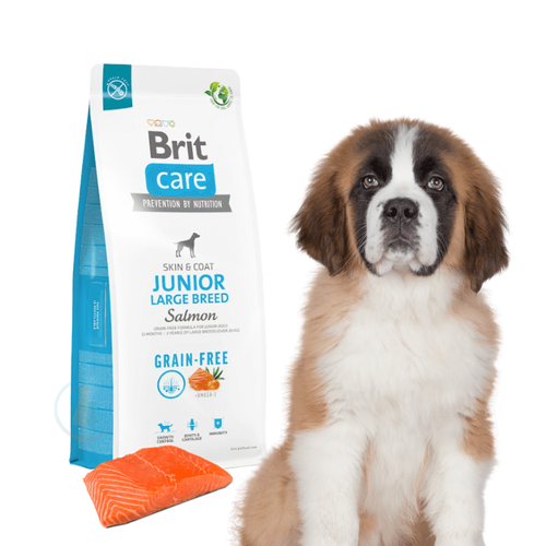 Brit Care Grain-free Junior Large Breed Salmon 12kg