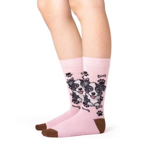 Skarpetki Border Collie Rozm. 35/40 Skarpety