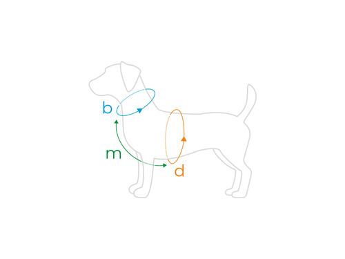 Amiplay Szelki Guard Samba XS Zielone
