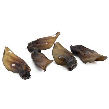 Ucho Wołowe Przysmak Dla Psa