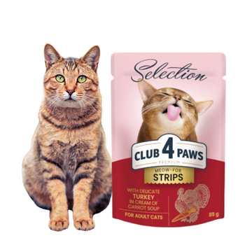 CLUB 4 PAWS Premium Selection Karma Mokra dla Kota STRIPSY Z INDYKA W ZUPIE KREM MARCHEWKOWEJ 85 g