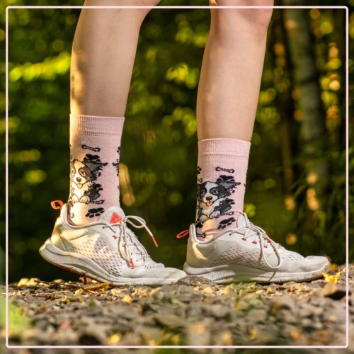 Skarpetki Border Collie Rozm. 35/40 Skarpety