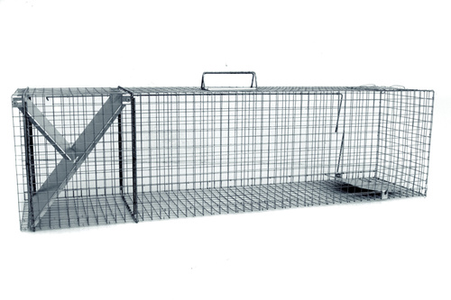 Żywołapka Pułapka na Kuny Dwuwejściowa