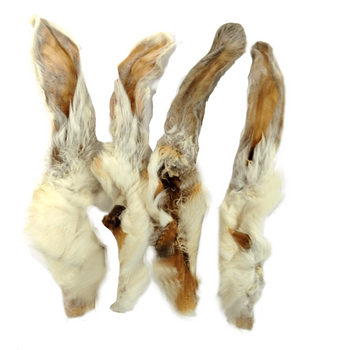 Ucho Królicze z Futrem 1 sztuka