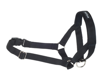 Amiplay Halter Basic dla Psa XL