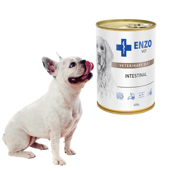 Enzo Vet Intestinal z Jagnięciną dla Psa 400g