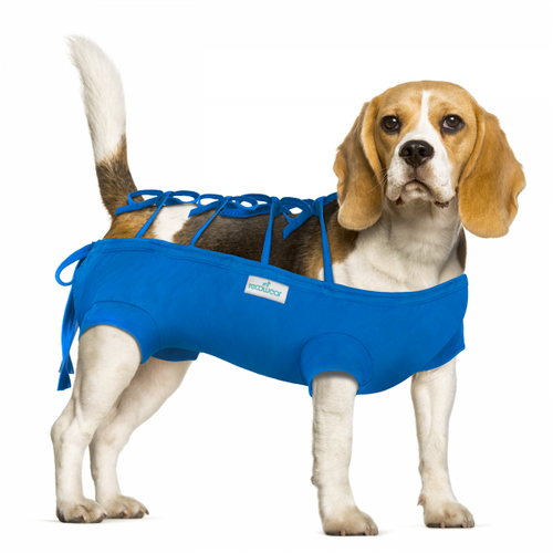 RecoWear Ubranko Pooperacyjne dla Psa 5