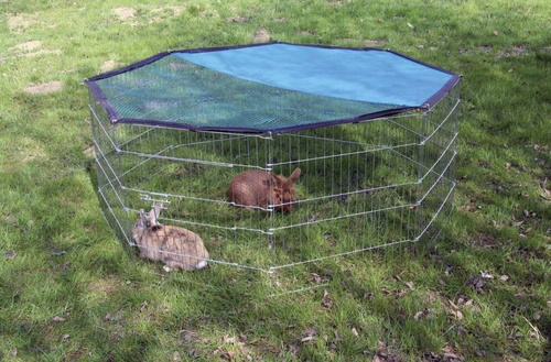 Kojec 8-kątny dla Małych Zwierząt