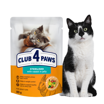 CLUB 4 PAWS Karma Mokra dla Kota „STERILISED” KRÓLIK W GALARETCE 80 g