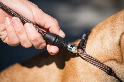 Smycz BEZPIECZEŃSTWA GO LEY GO Magnetyczna Taśma S do 15kg Czarna