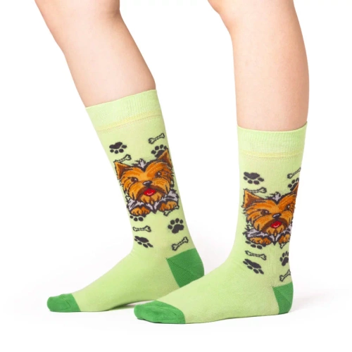 Skarpetki Yorkshire Terrier Rozm. 41/46 Skarpety