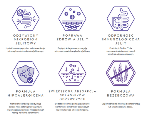 Prize Pet Food Veterinary Diet Gastro Intestinal Peptide+ Indyk Turkey 700g